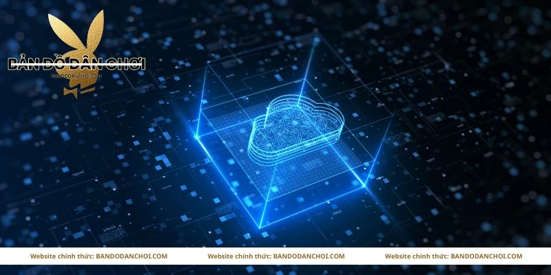 Mục đích sử dụng thông tin