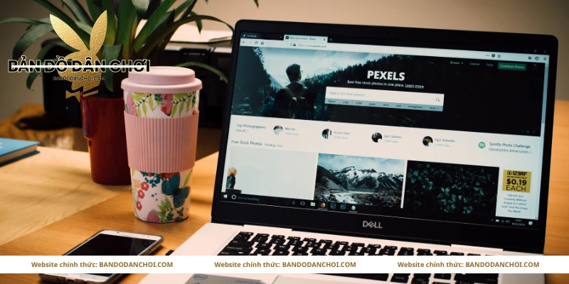 Nội dung đánh giá, cảm nhận và trải nghiệm