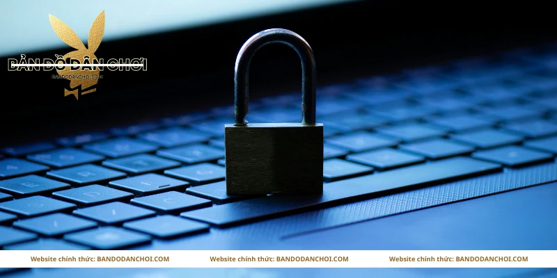 Thông tin chúng tôi thu thập